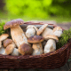 Jak suszyć grzyby w piekarniku – krok po kroku